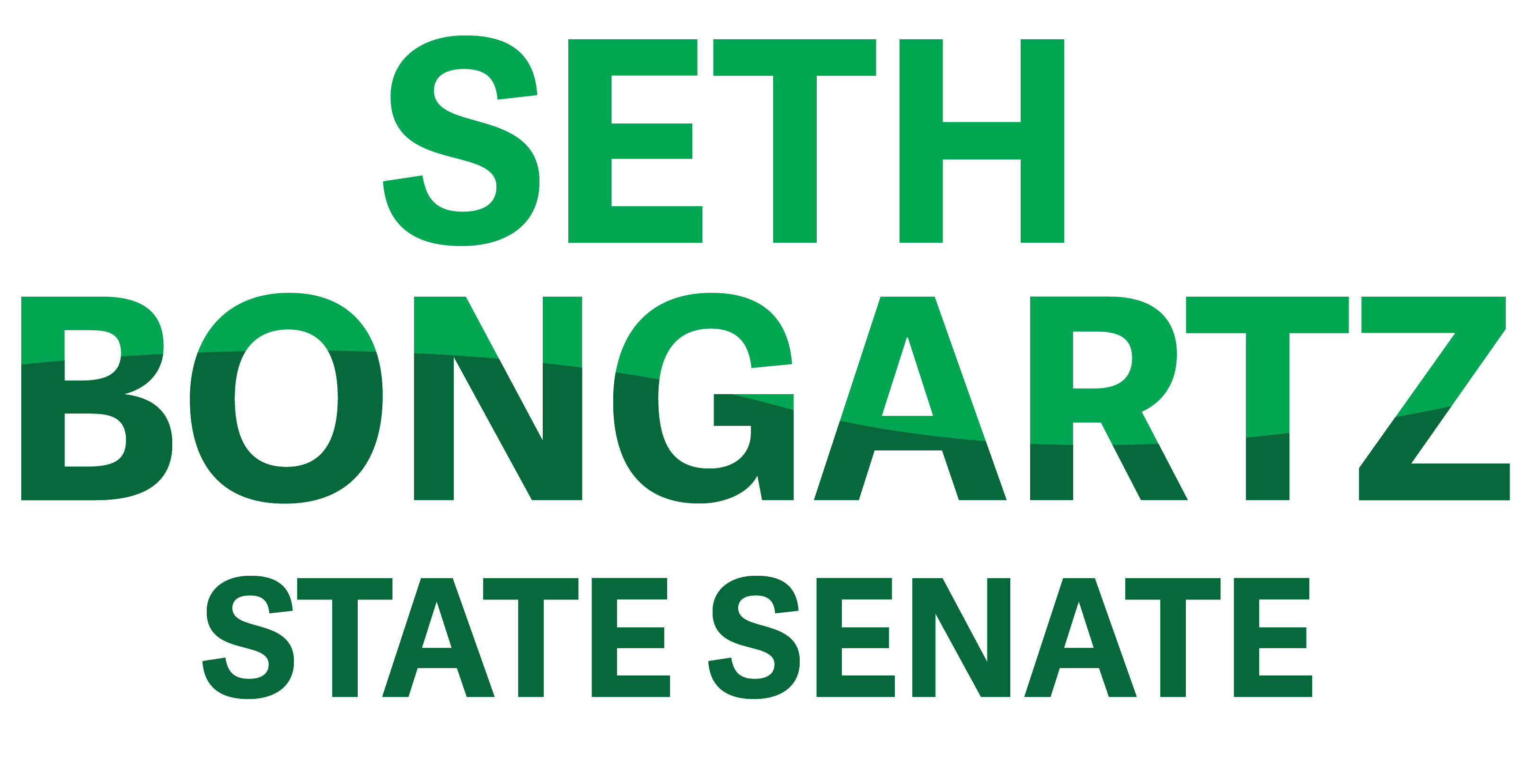 Seth Bongartz for State Senate